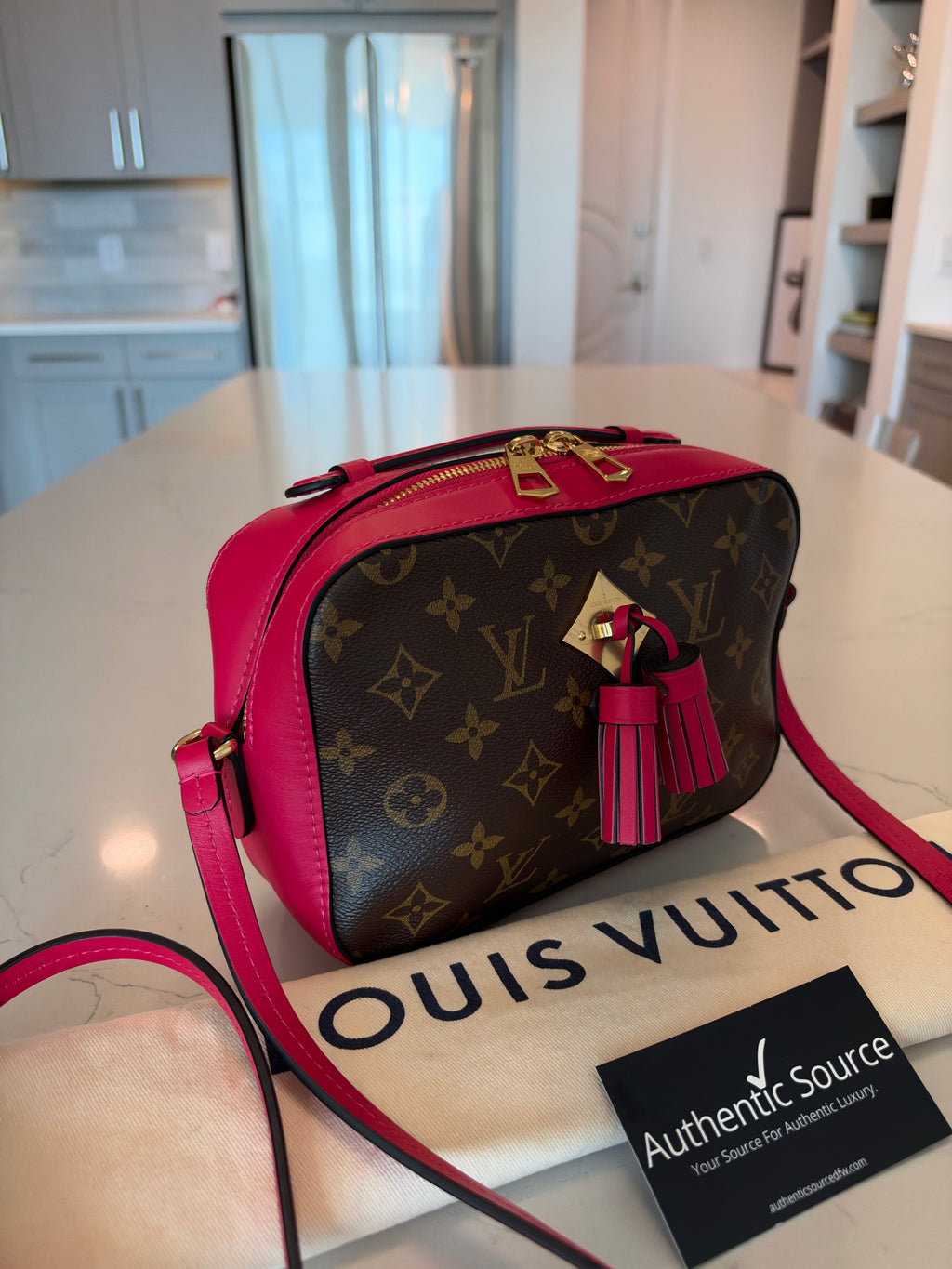 Louis Vuitton Monogram Saintonge - New