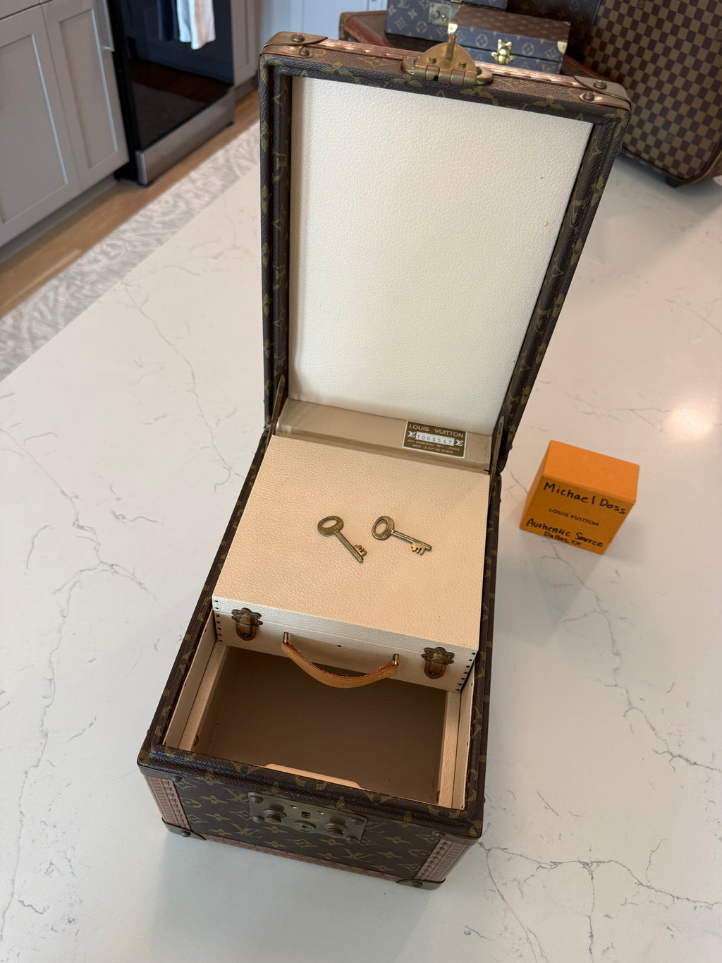 Louis Vuitton Boite Falcons Vanity Trunk