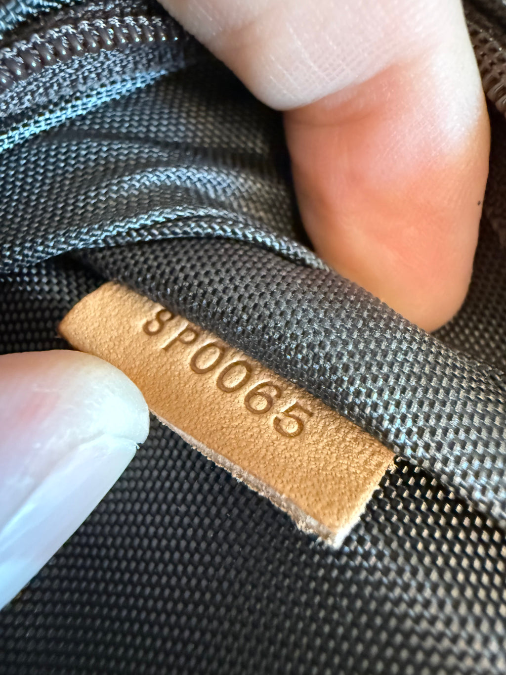 Louis Vuitton Pegase 70 Rolling Luggage