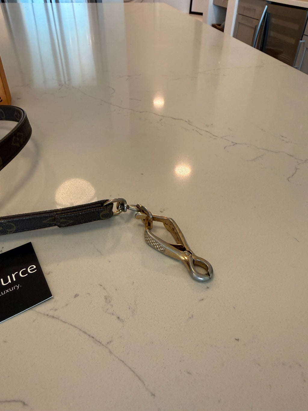 Louis Vuitton Dog Leash