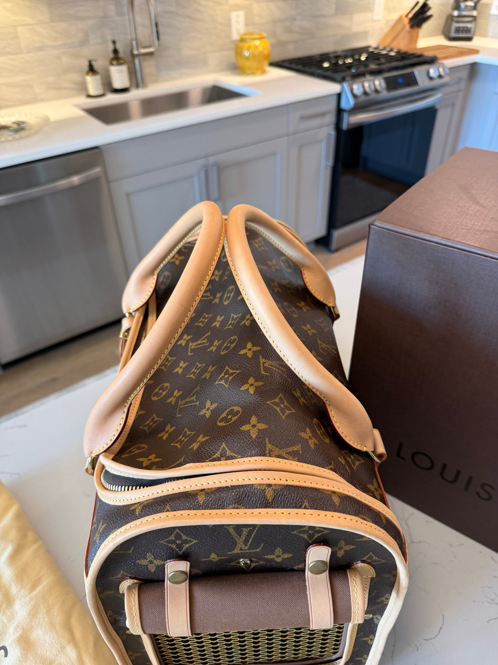 Louis Vuitton Sac Chein Pet Carrier