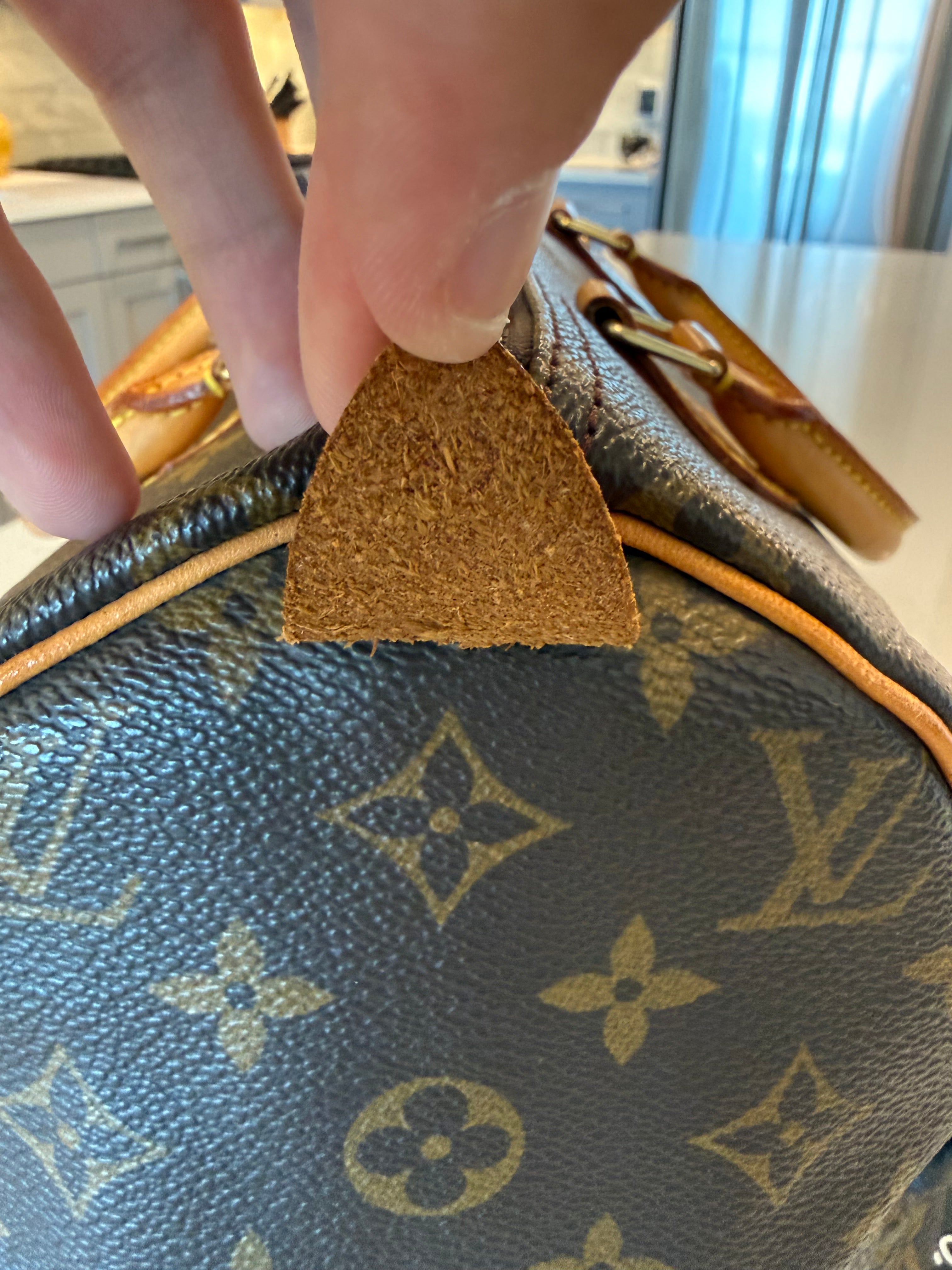 Louis Vuitton Speedy 30