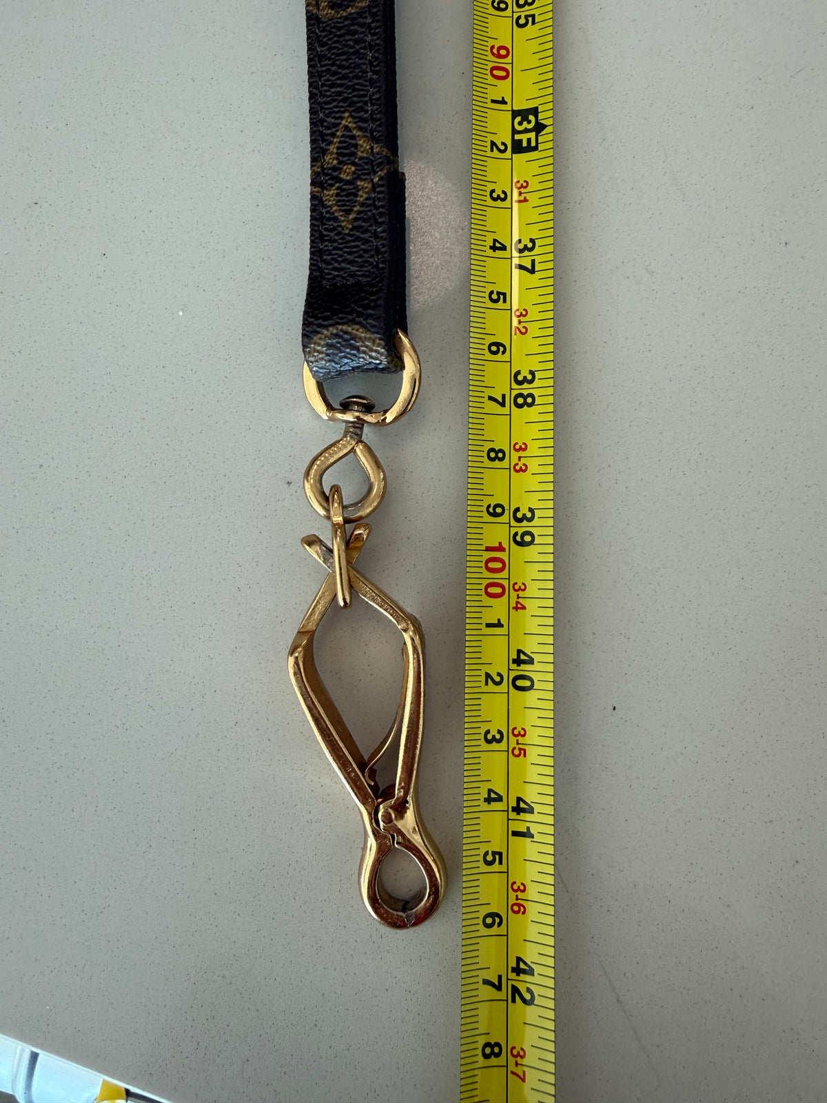 Louis Vuitton Dog Leash