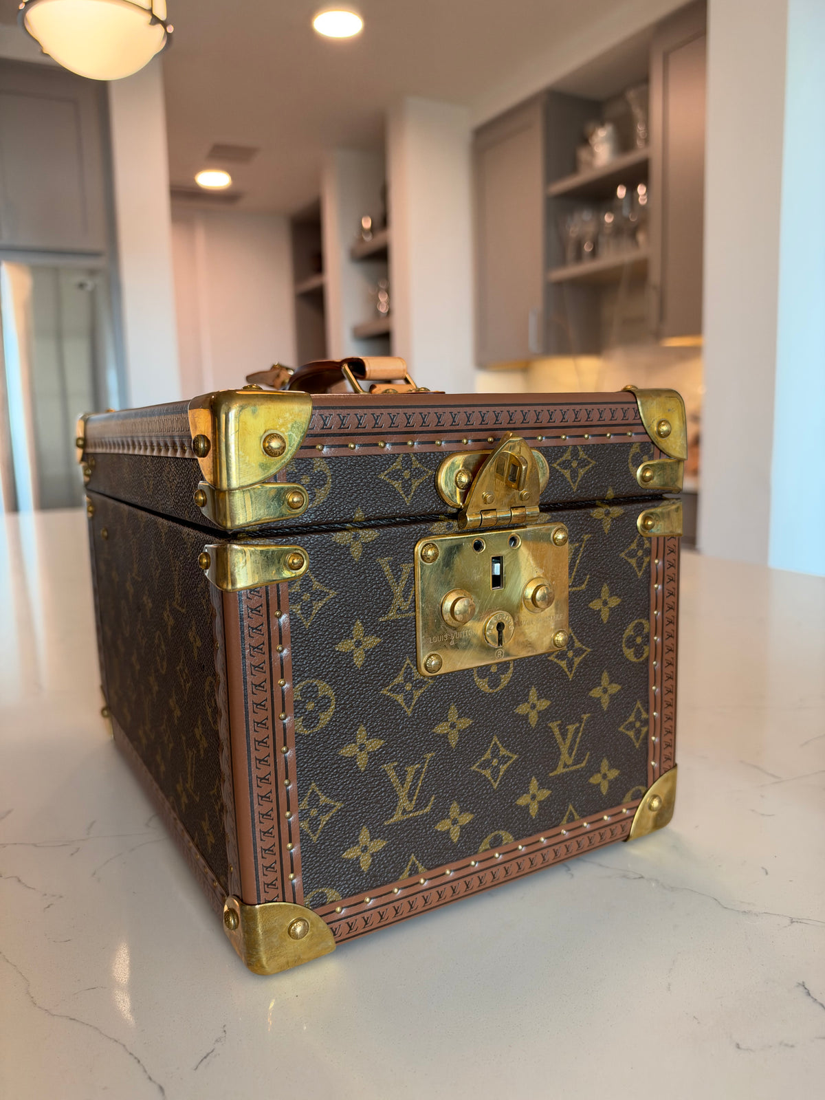 Louis Vuitton Boite Falcons Vanity Trunk