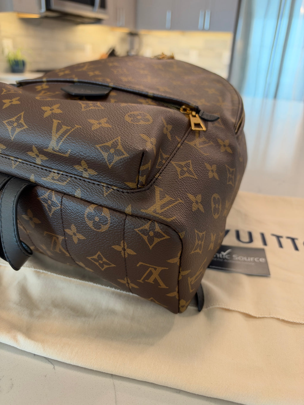 Louis Vuitton Palm Springs MM Backpack