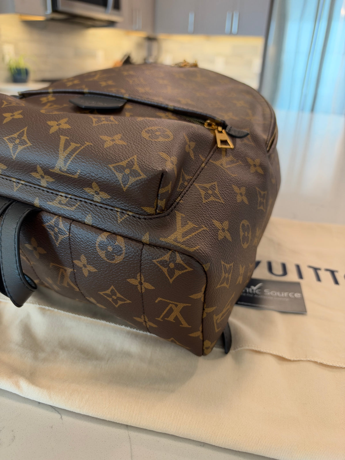 Louis Vuitton Palm Springs MM Backpack