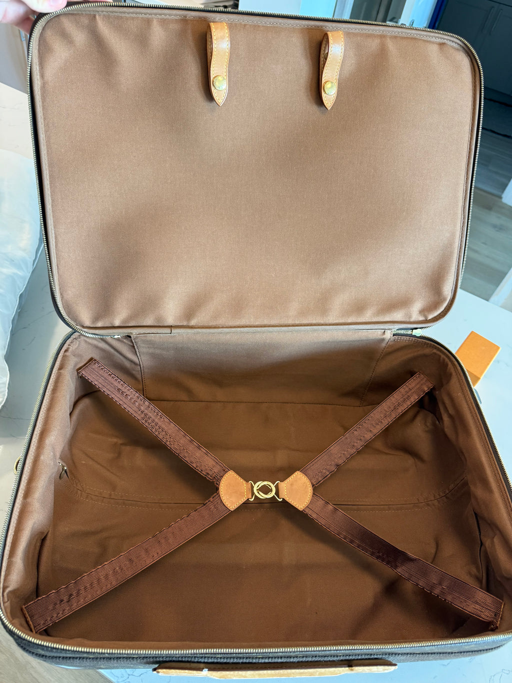Louis Vuitton Pegase 55