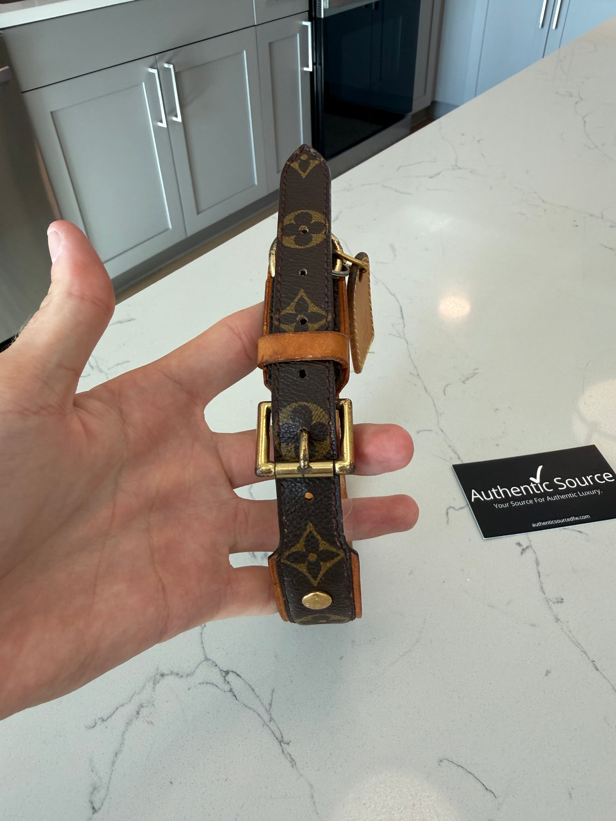 Louis Vuitton Baxter GM Pet Collar