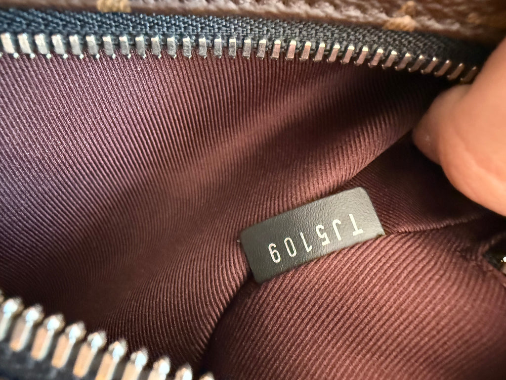 Louis Vuitton Josh Backpack Macassar
