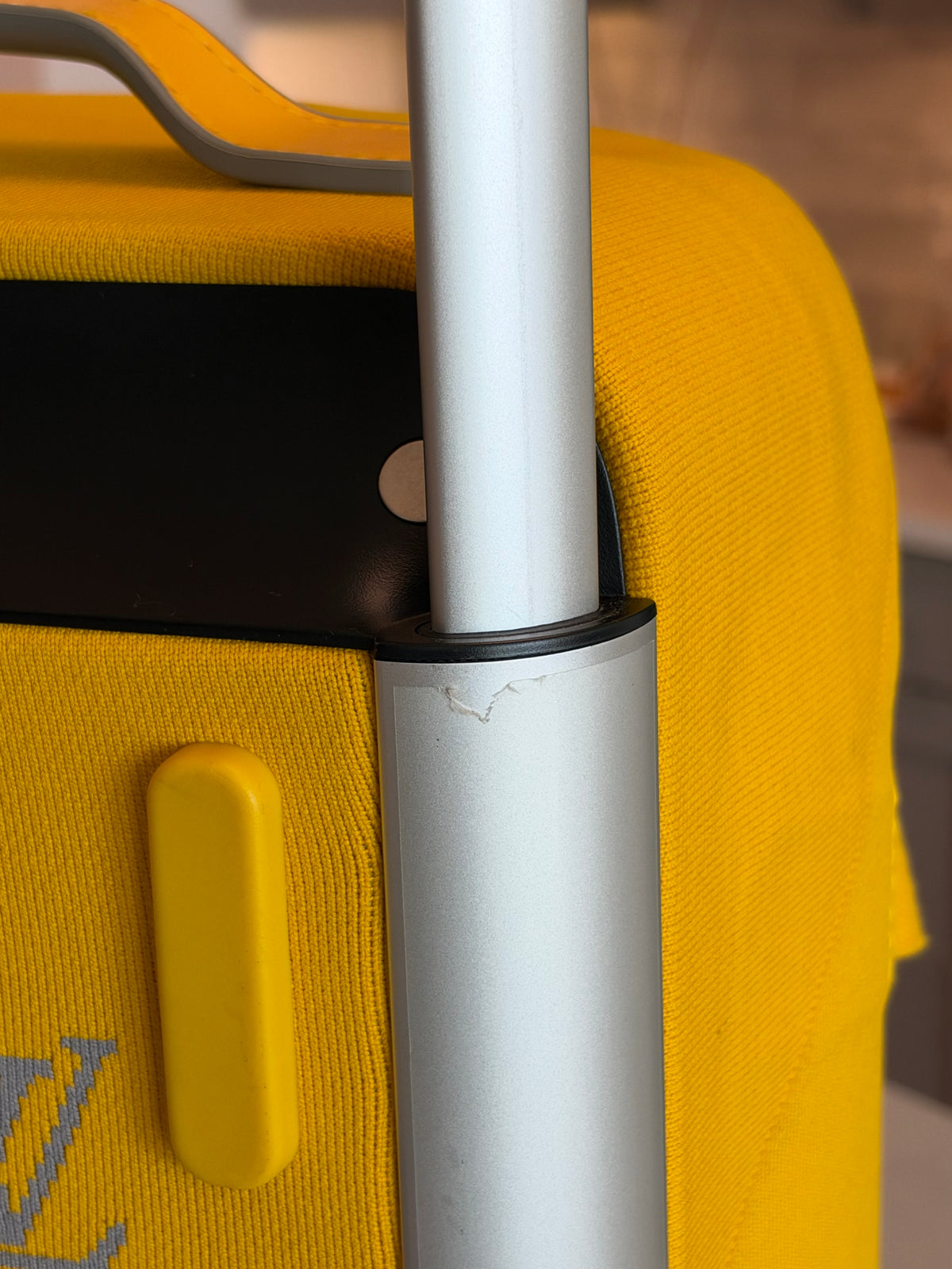 Louis Vuitton Soft Horizon Rolling Luggage