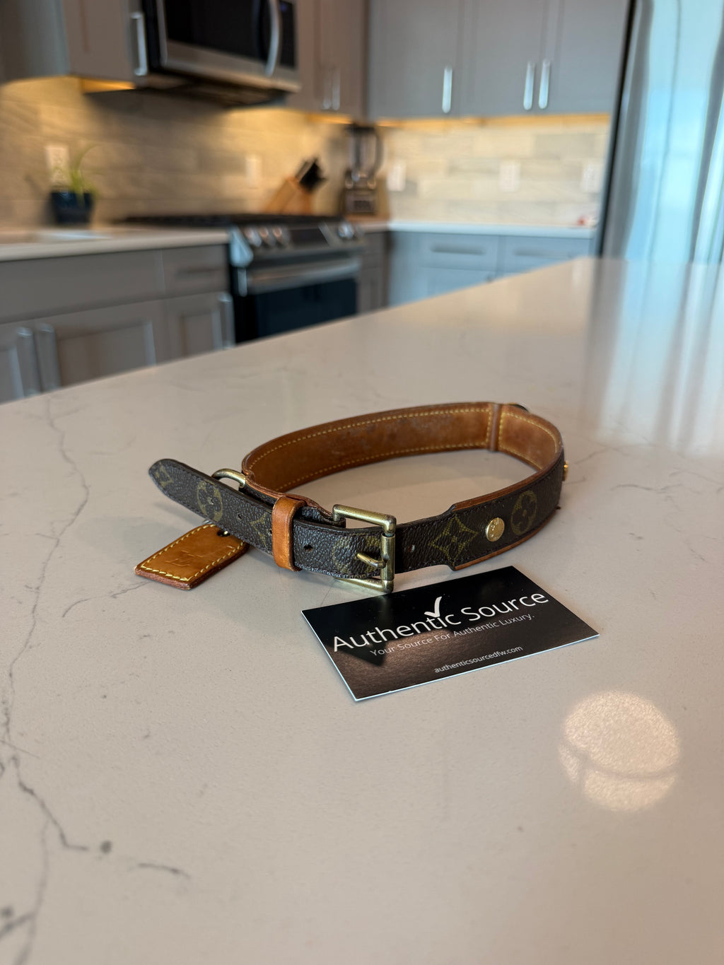 Louis Vuitton Baxter GM Pet Collar