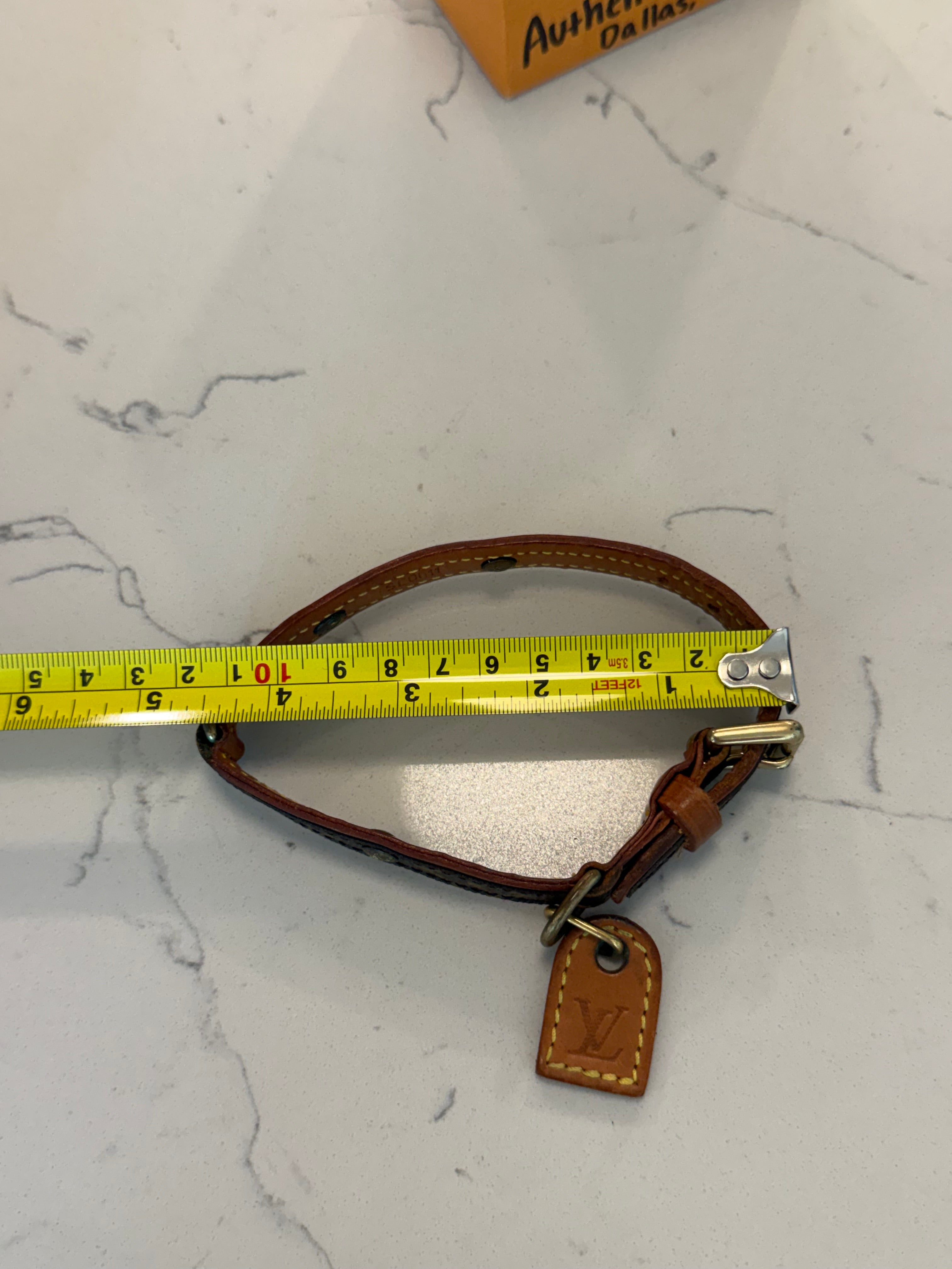 Louis Vuitton Baxter Pet Collar PM