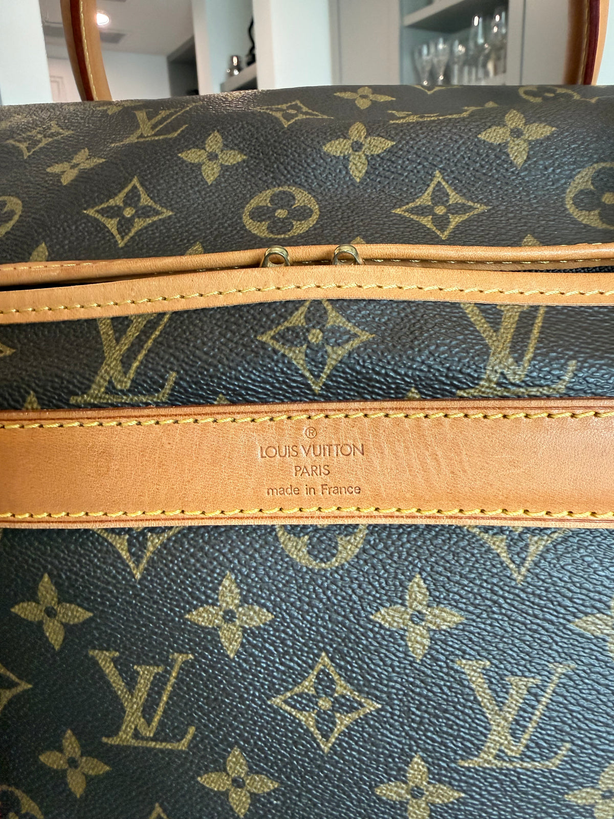 Louis Vuitton Pet Carrier Sac Chein 50