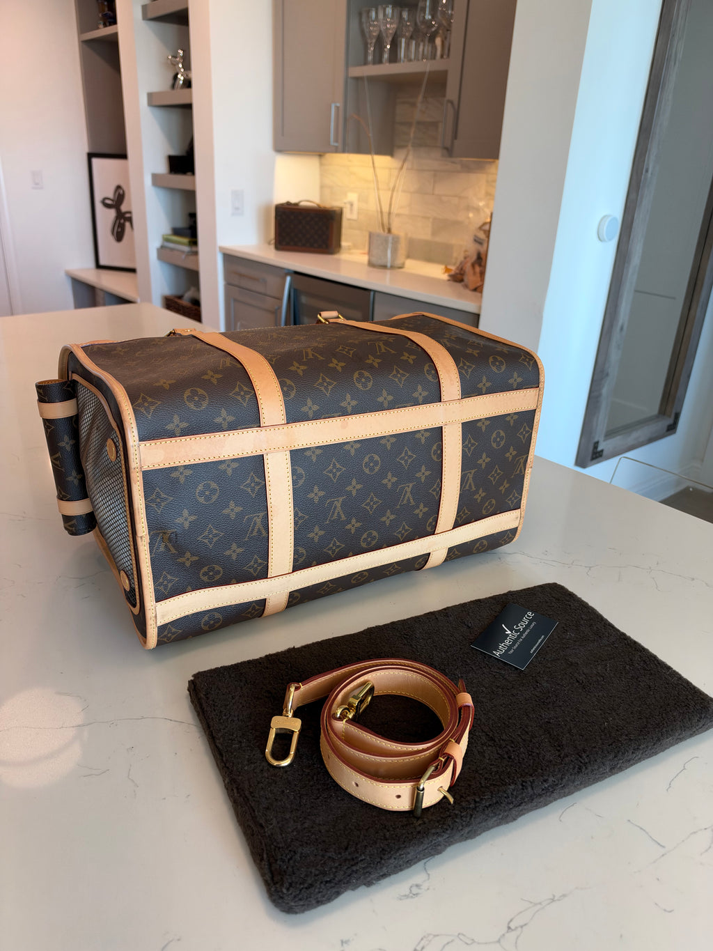 Louis Vuitton Sac Chein Pet Carrier New Model