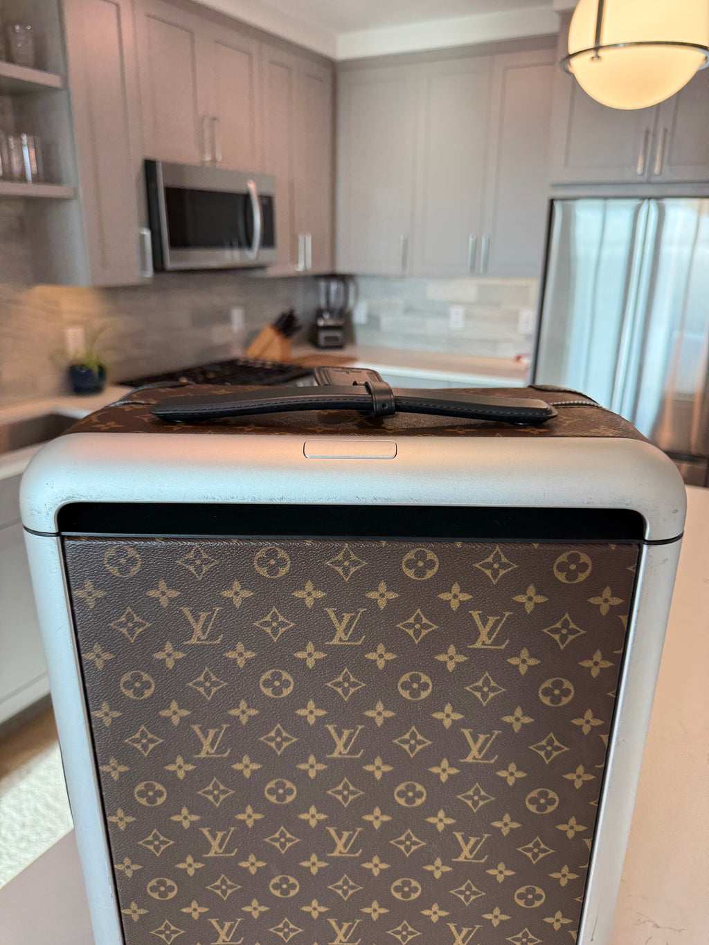 Louis Vuitton Horizon 55 Macassar