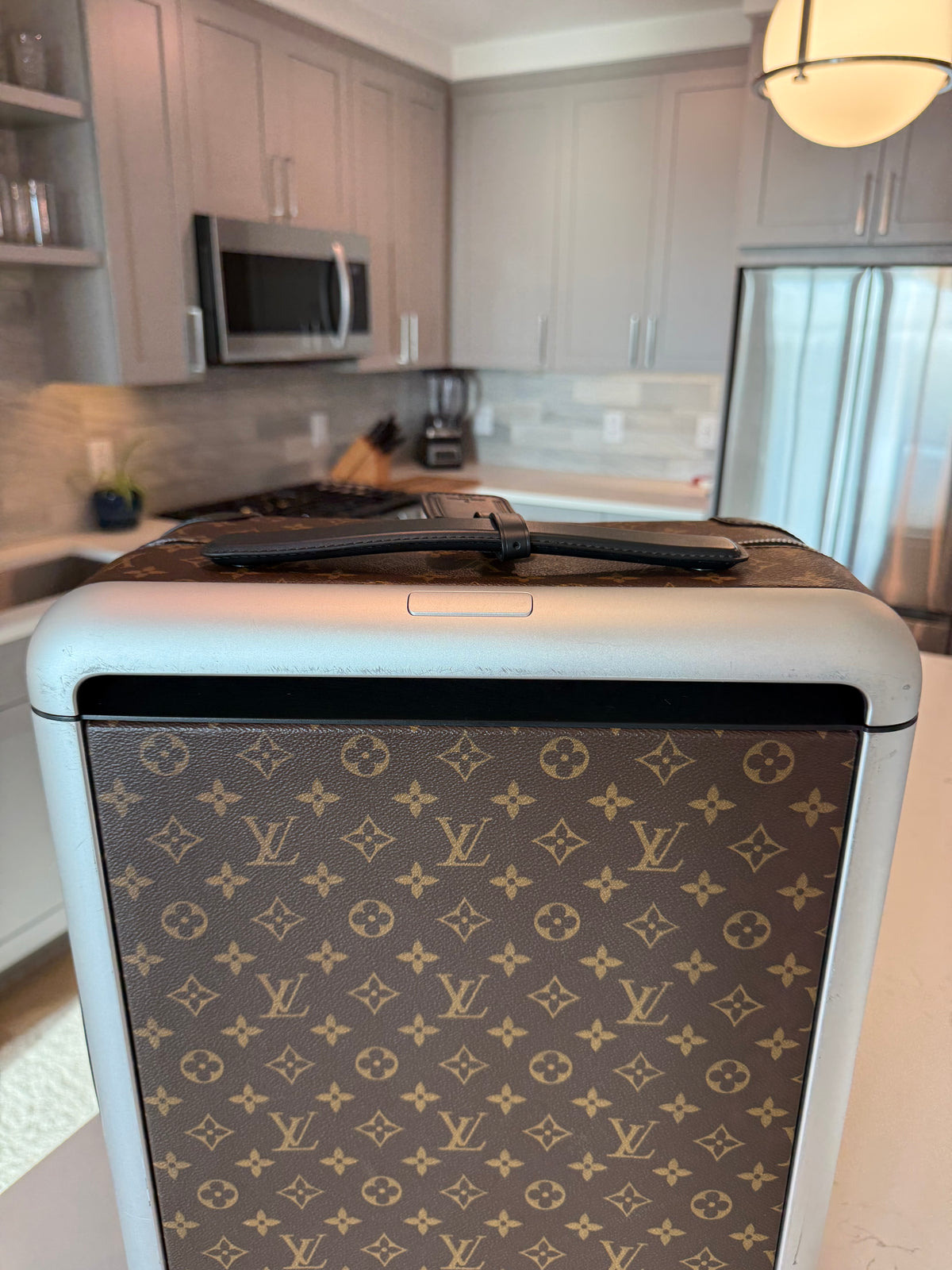 Louis Vuitton Horizon 55 Macassar
