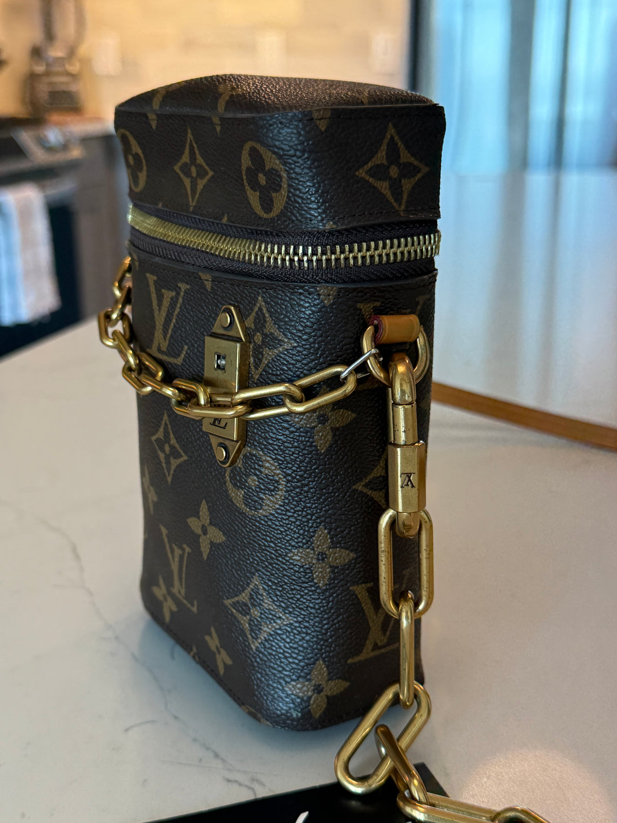 Louis Vuitton Monogram Phone Box Bag