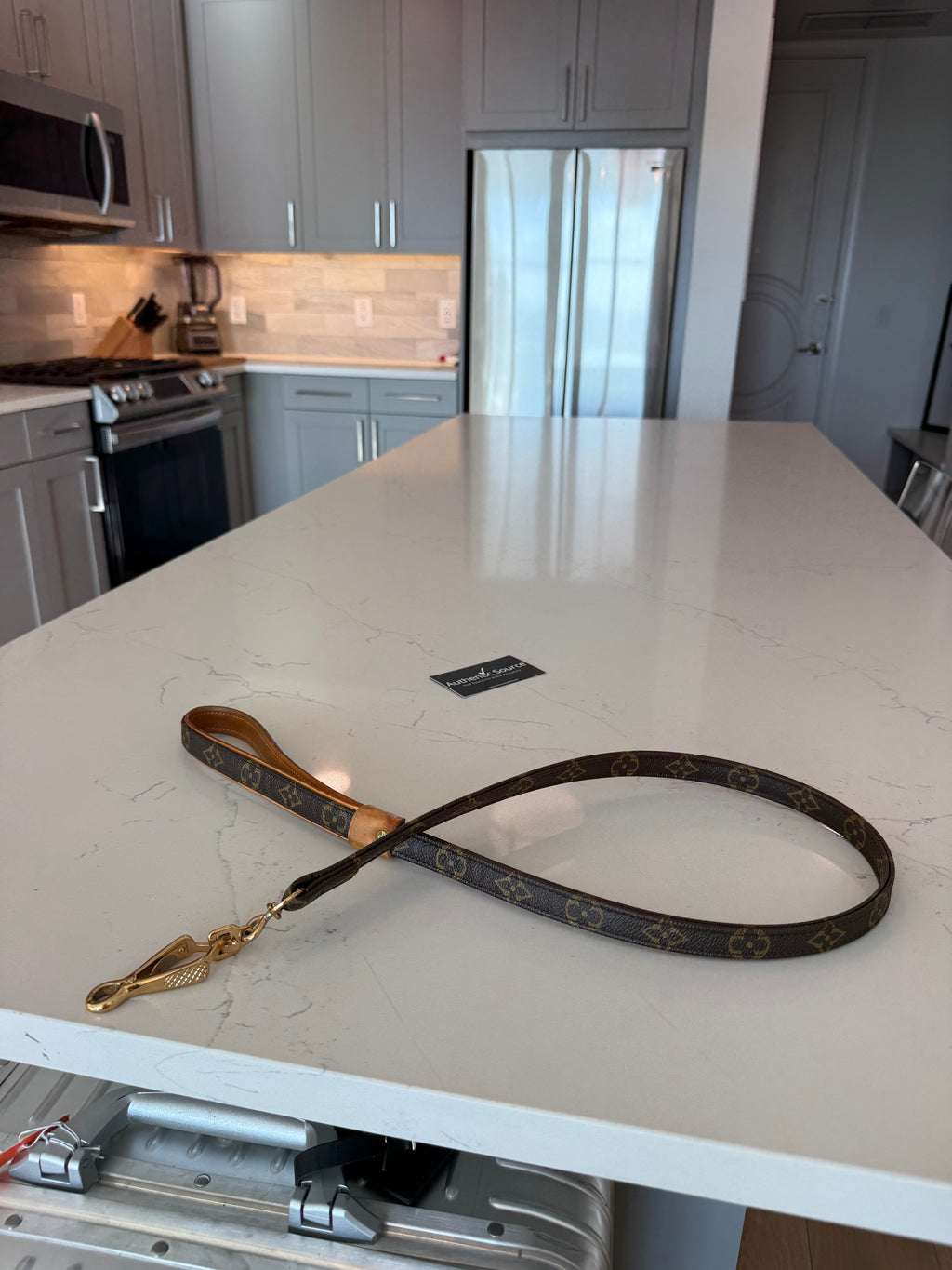 Louis Vuitton Dog Leash