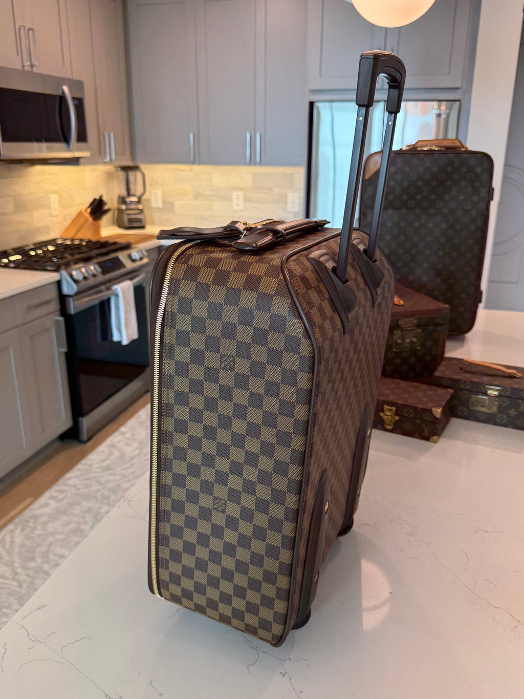 Louis Vuitton Pegase 45 Rolling Luggage