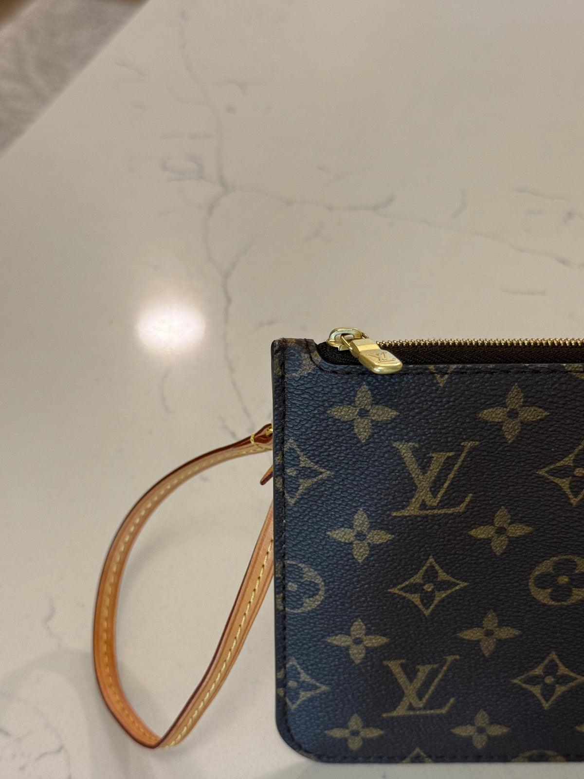 Louis Vuitton Clutch/Pouch