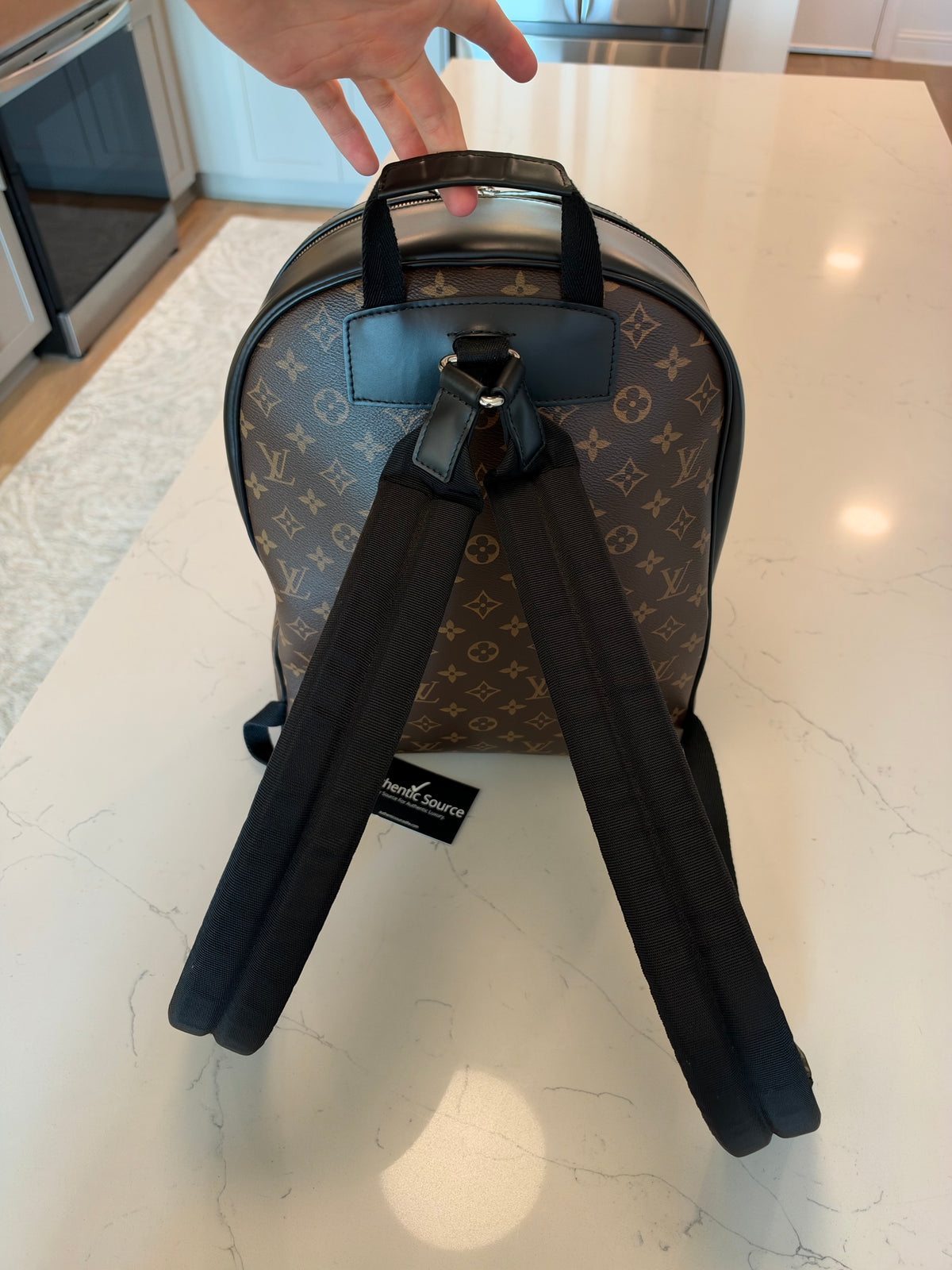 Louis Vuitton Josh Backpack Macassar