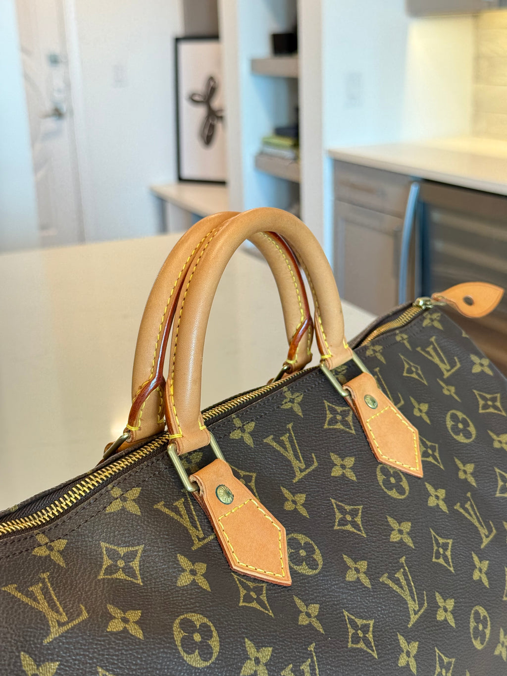Louis Vuitton Speedy 40 Monogram