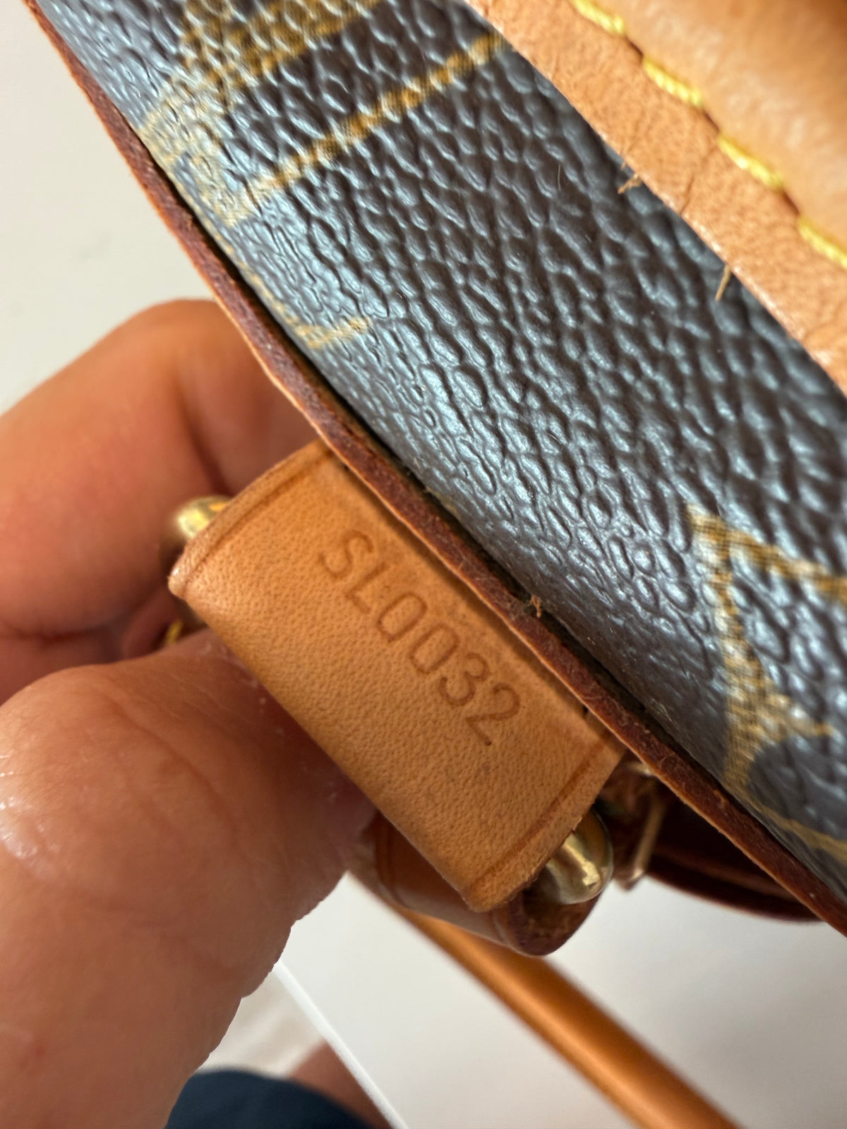 Louis Vuitton Pet Carrier Sac Chein 50