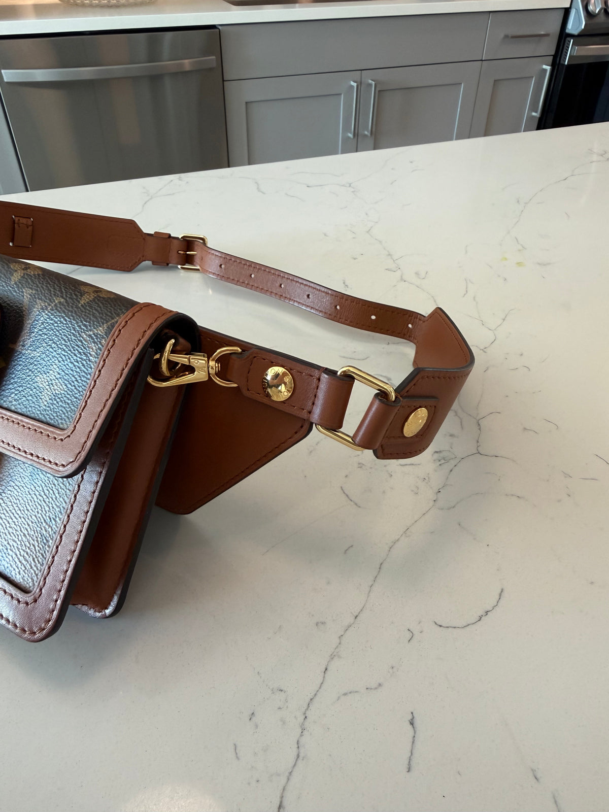 Louis Vuitton Dauphine Bumbag