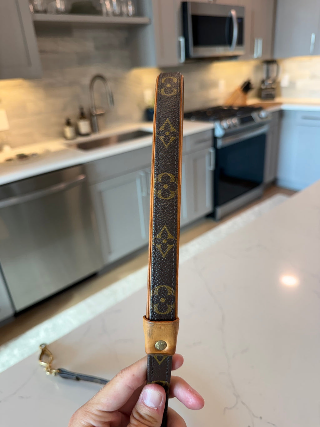 Louis Vuitton Dog Leash