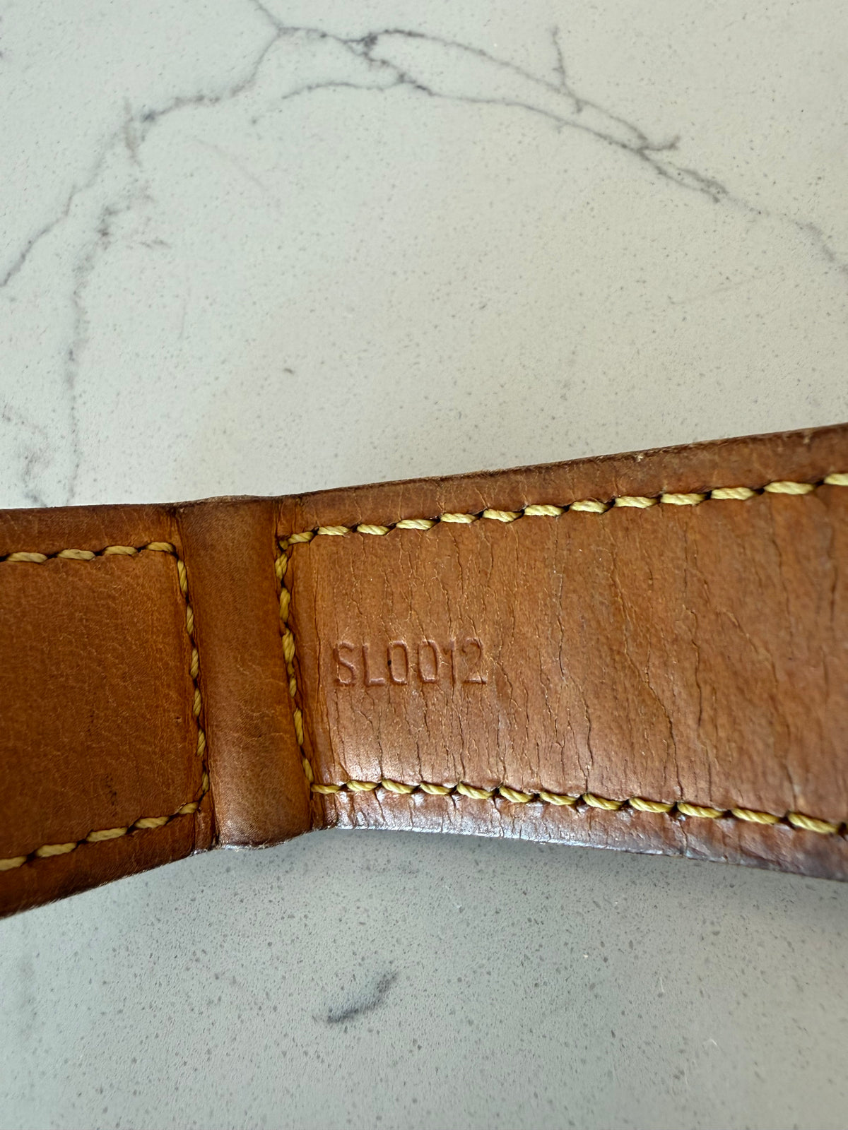 Louis Vuitton Baxter GM Pet Collar