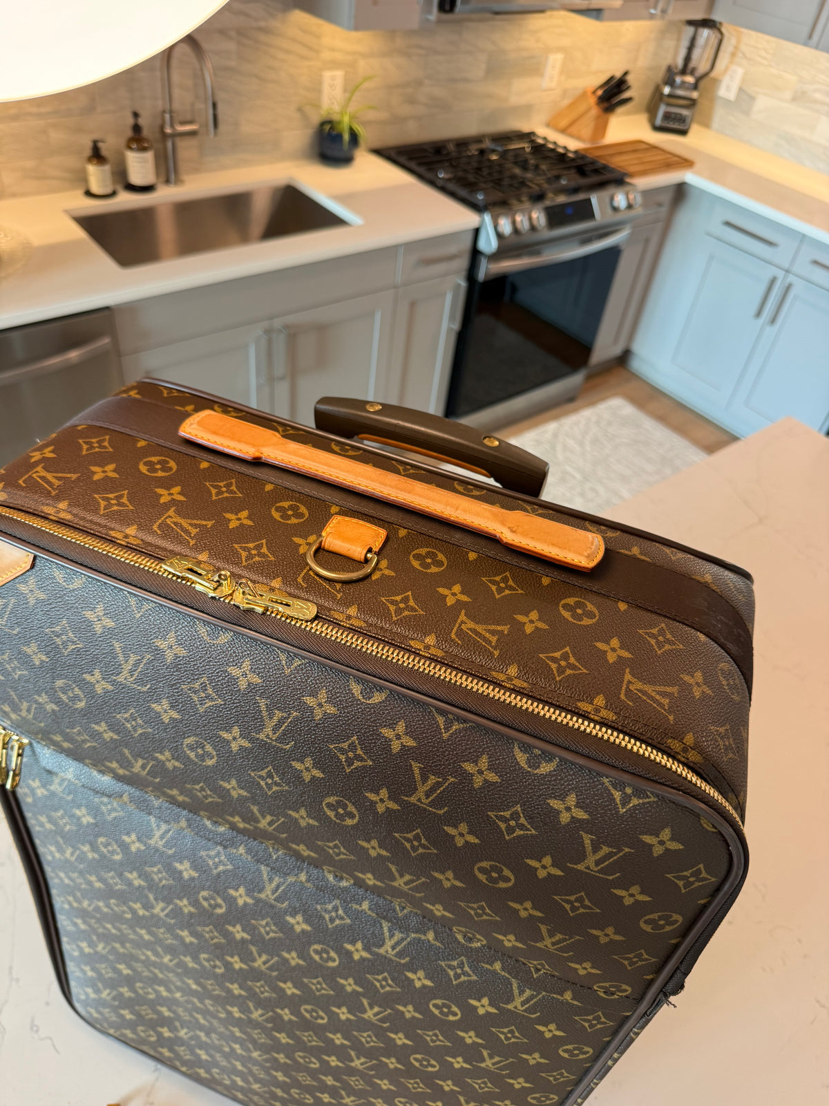 Louis Vuitton Pegase 70 Rolling Luggage