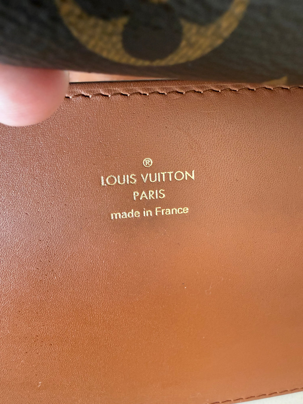 Louis Vuitton Dauphine Bumbag