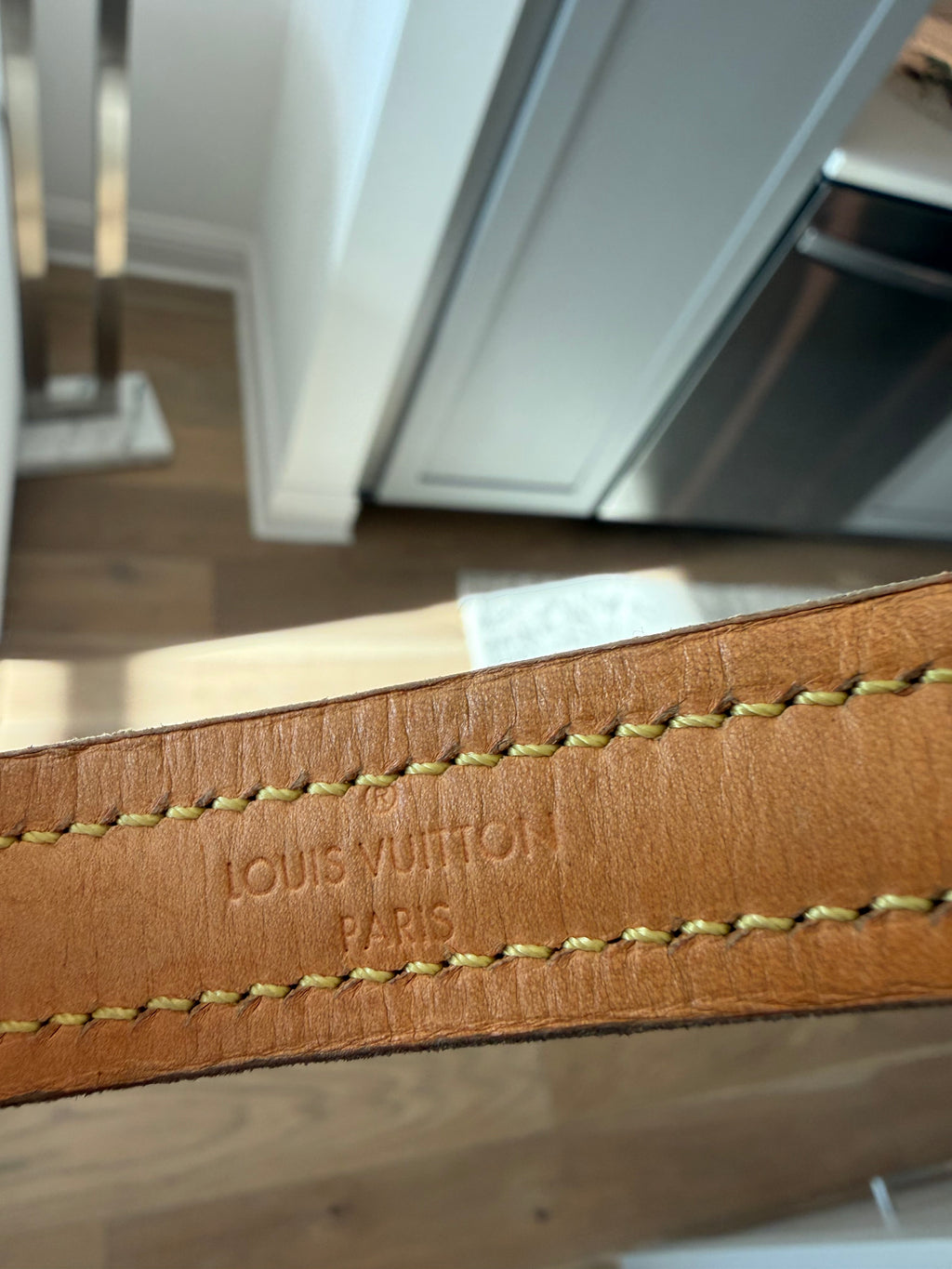Louis Vuitton Dog Leash
