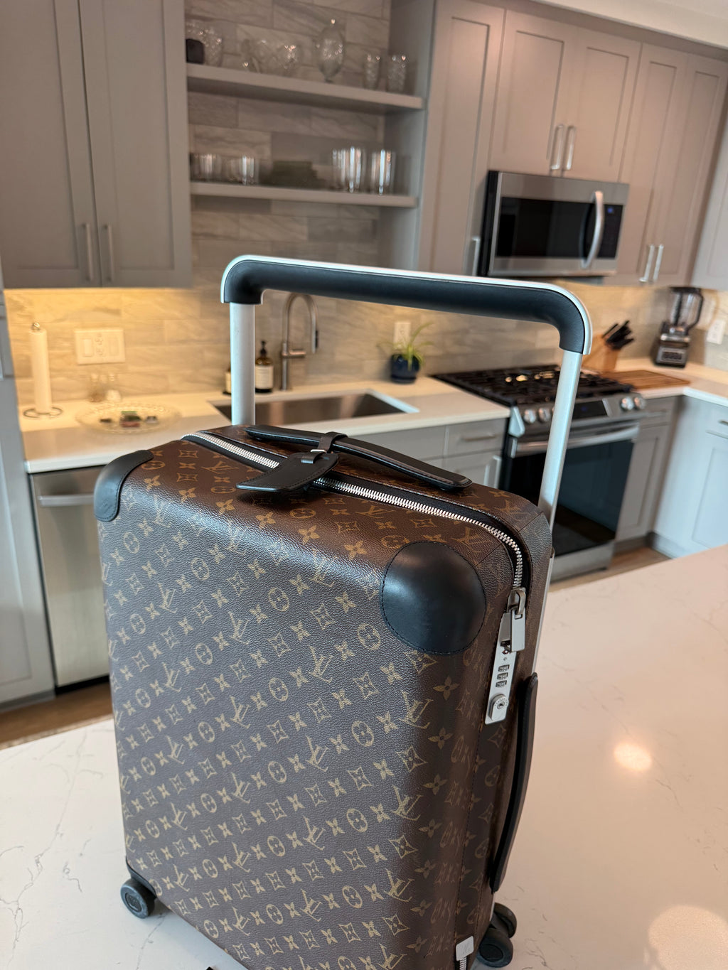 Louis Vuitton Horizon 55 Macassar