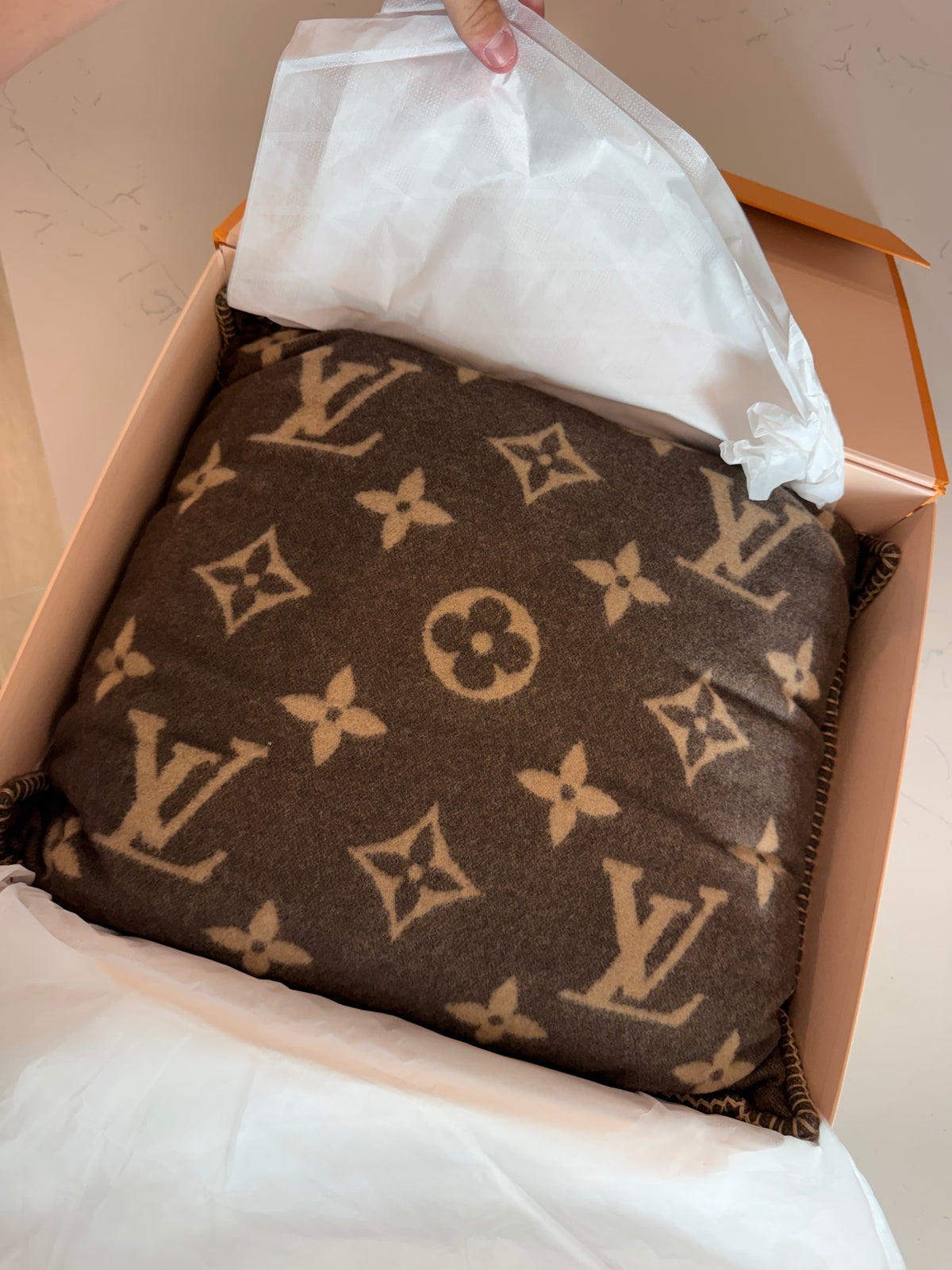 Louis Vuitton Neo Wool Pillow - New