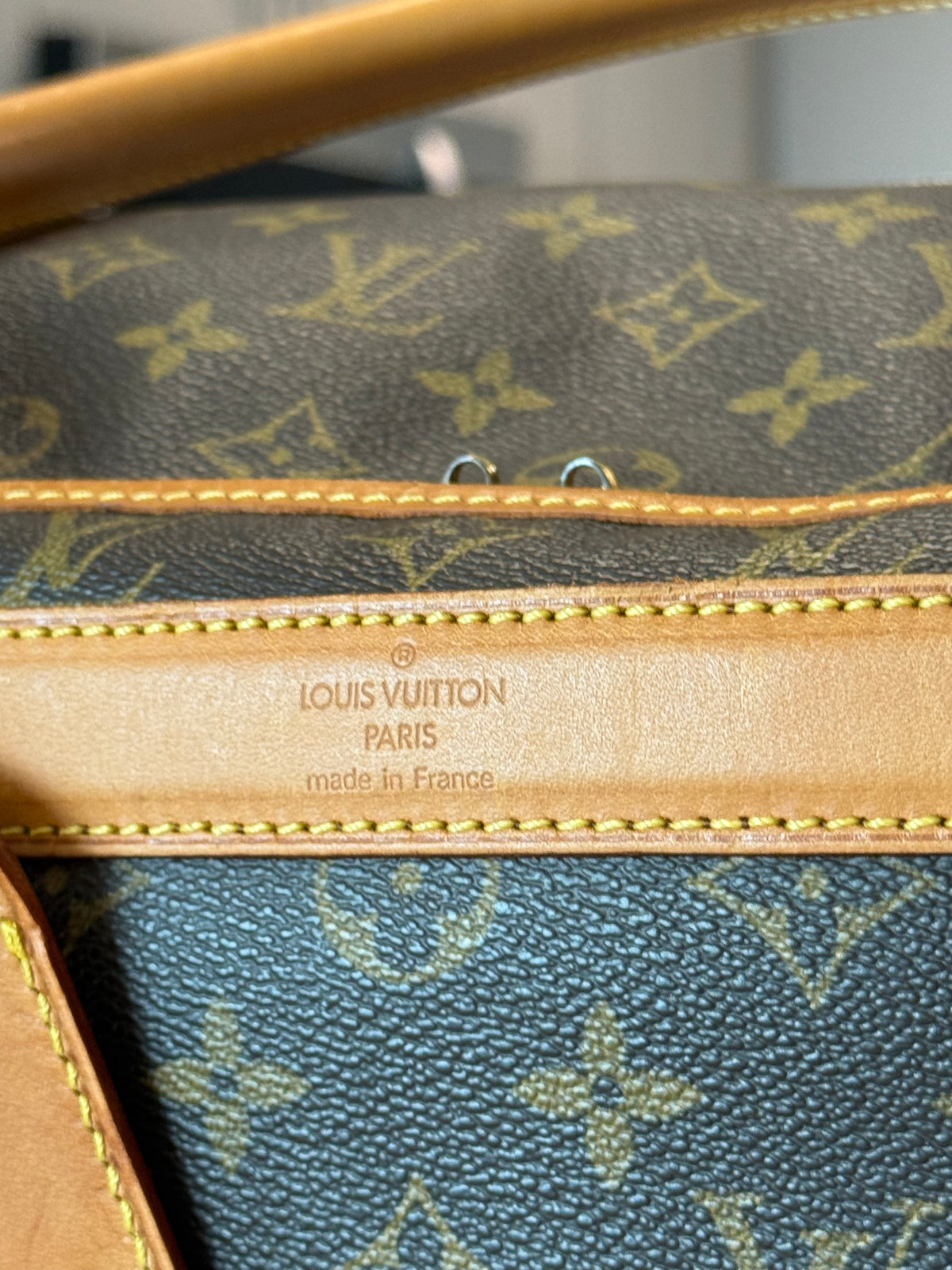 Louis Vuitton Pet Carrier Sac Chein 50