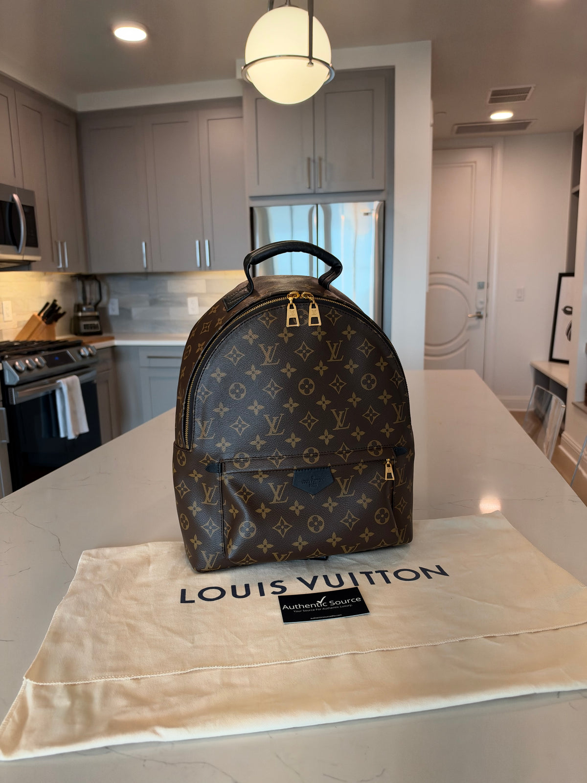 Louis Vuitton Palm Springs MM Backpack