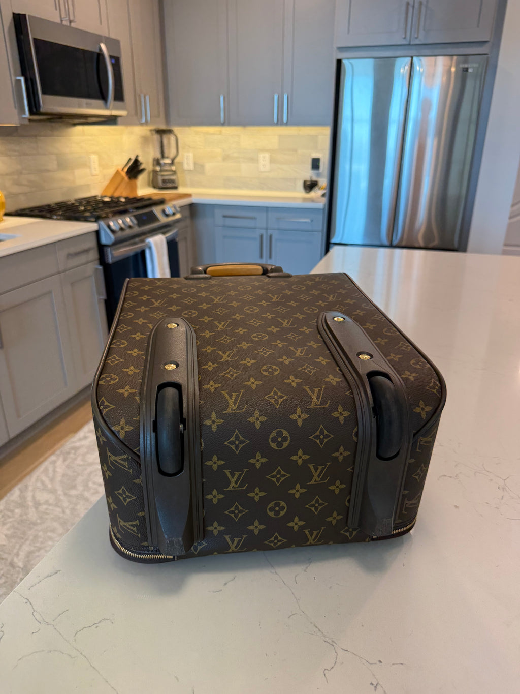 Louis Vuitton Pegase 45 Rolling Luggage