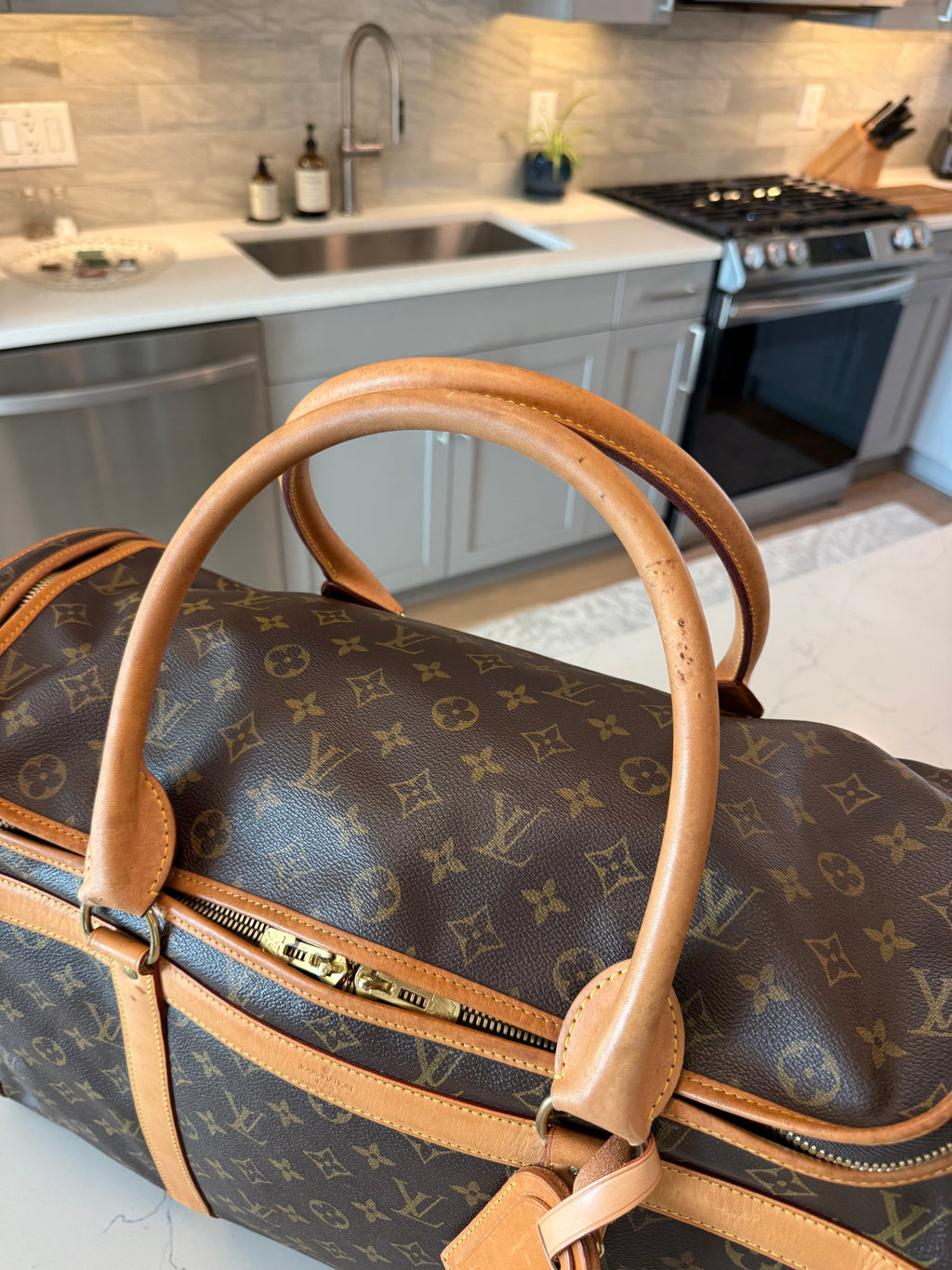 Louis Vuitton Pet Carrier Sac Chein 50