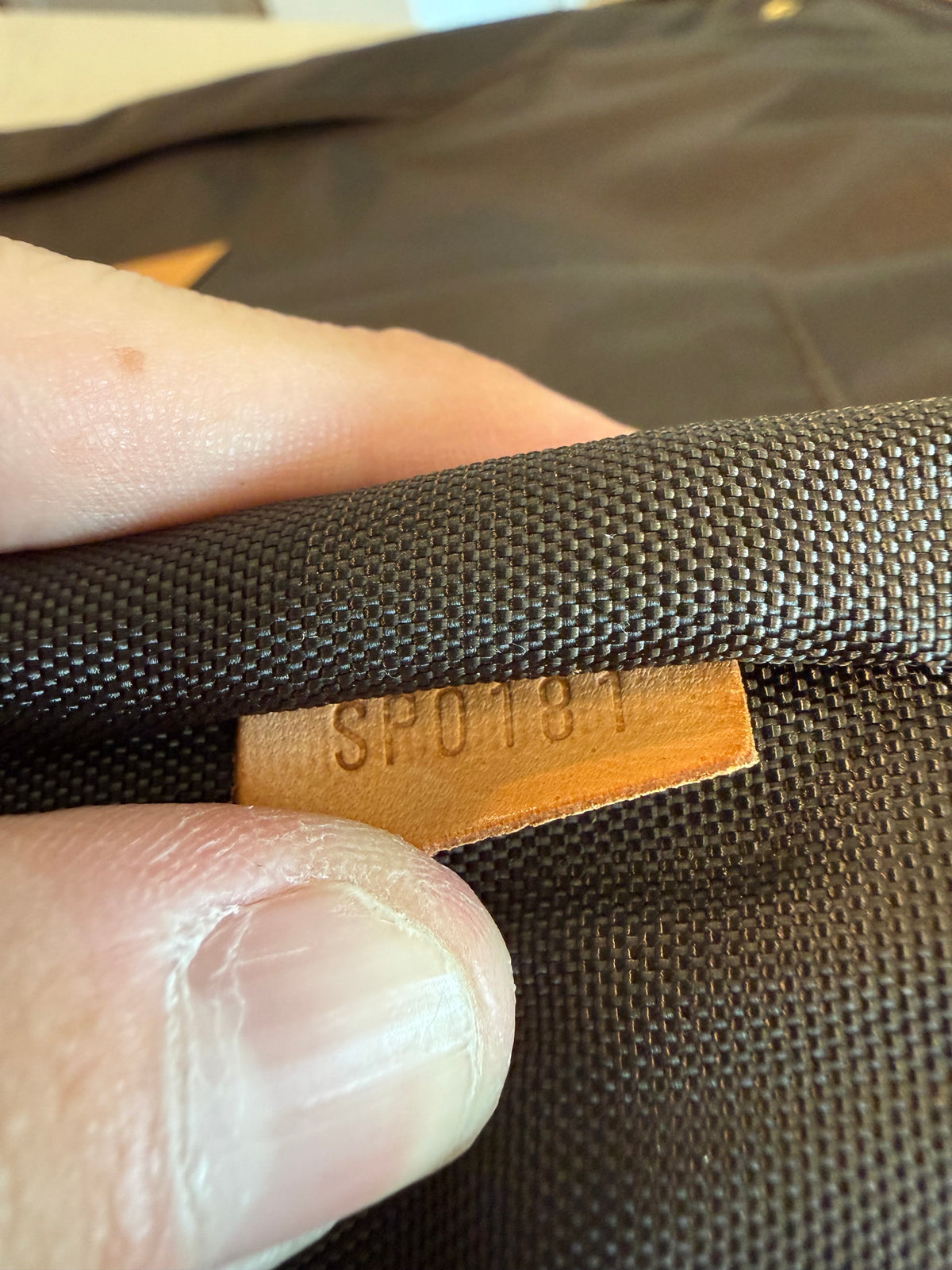 Louis Vuitton Pegase 55 Rolling Luggage