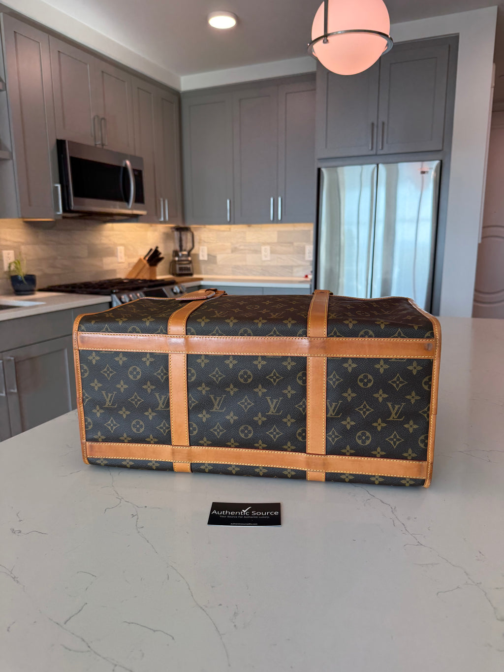 Louis Vuitton Pet Carrier Sac Chein 50
