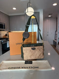 Louis Vuitton Monogram Pillow Maxi Multi Pochette Accessories