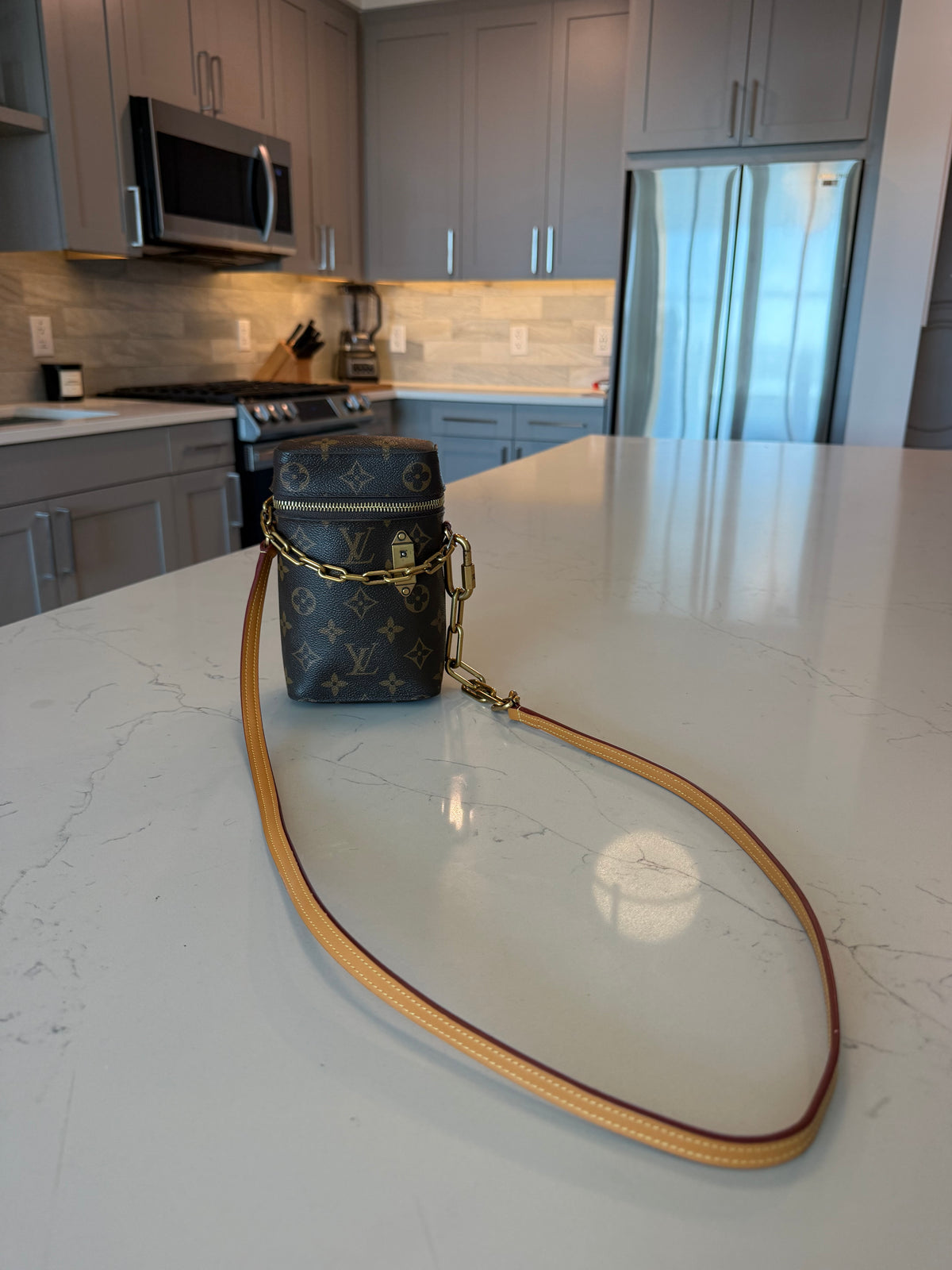 Louis Vuitton Monogram Phone Box Bag