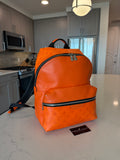 Louis Vuitton Discovery Backpack