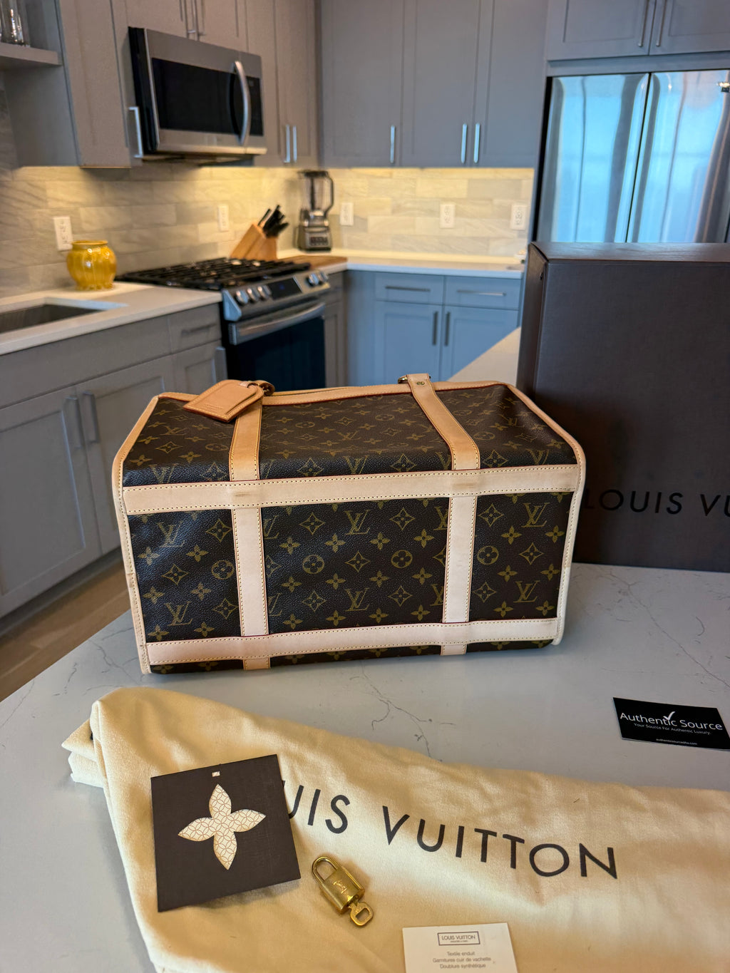 Louis Vuitton Sac Chein Pet Carrier