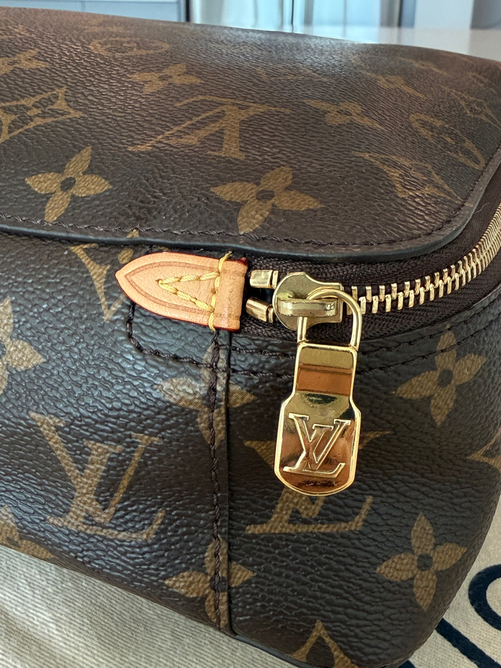 Louis Vuitton Packing Cube GM