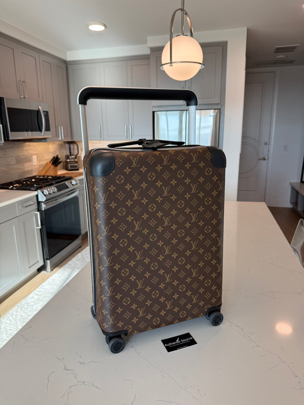 Louis Vuitton Horizon 55 Macassar