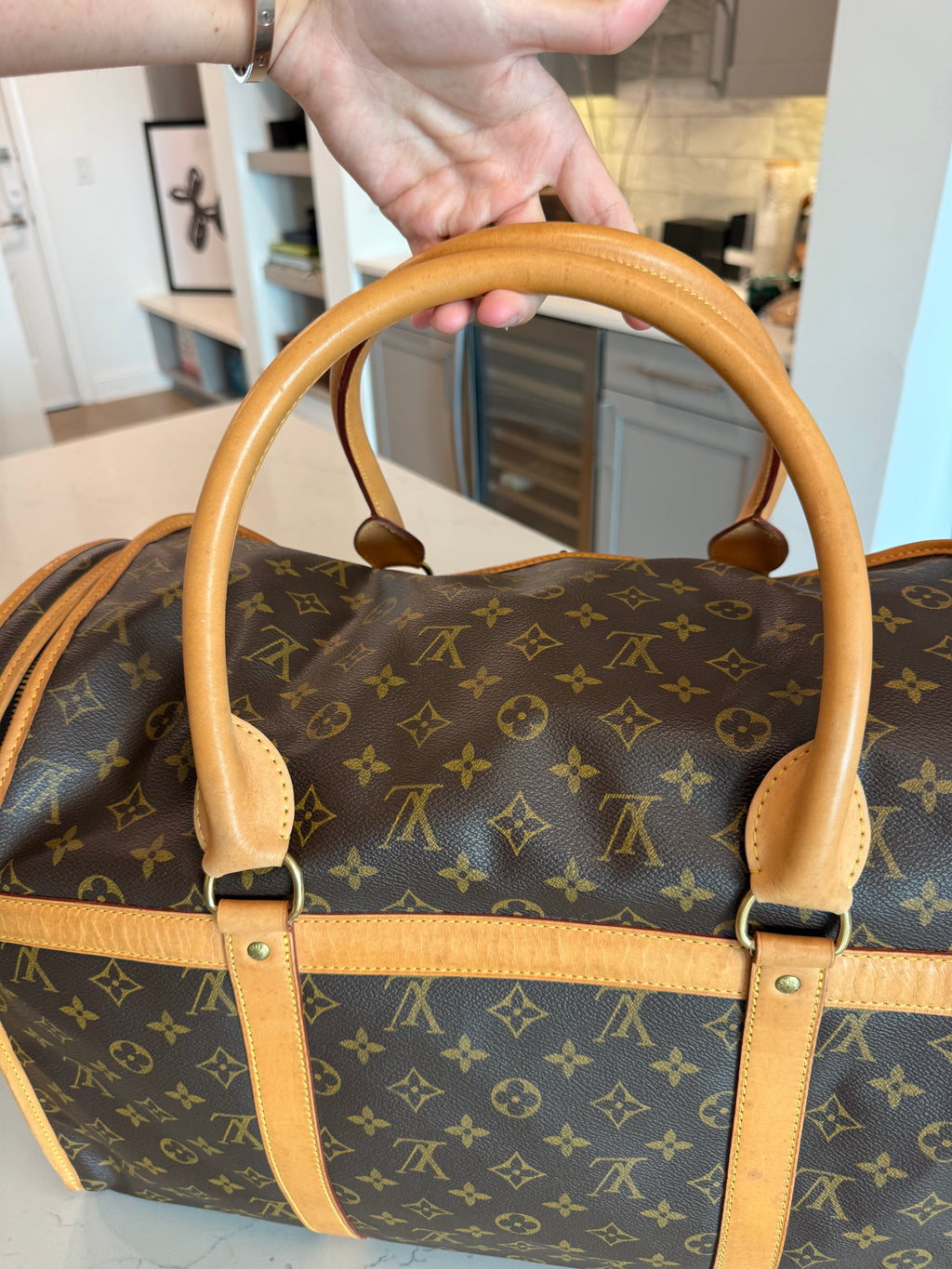 Louis Vuitton Pet Carrier Sac Chein 50