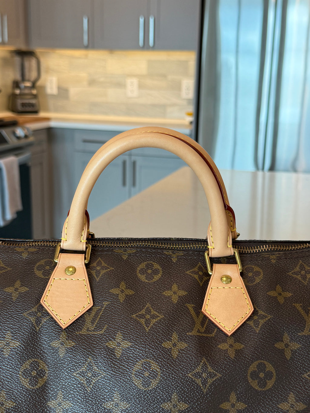 Louis Vuitton Speedy 30