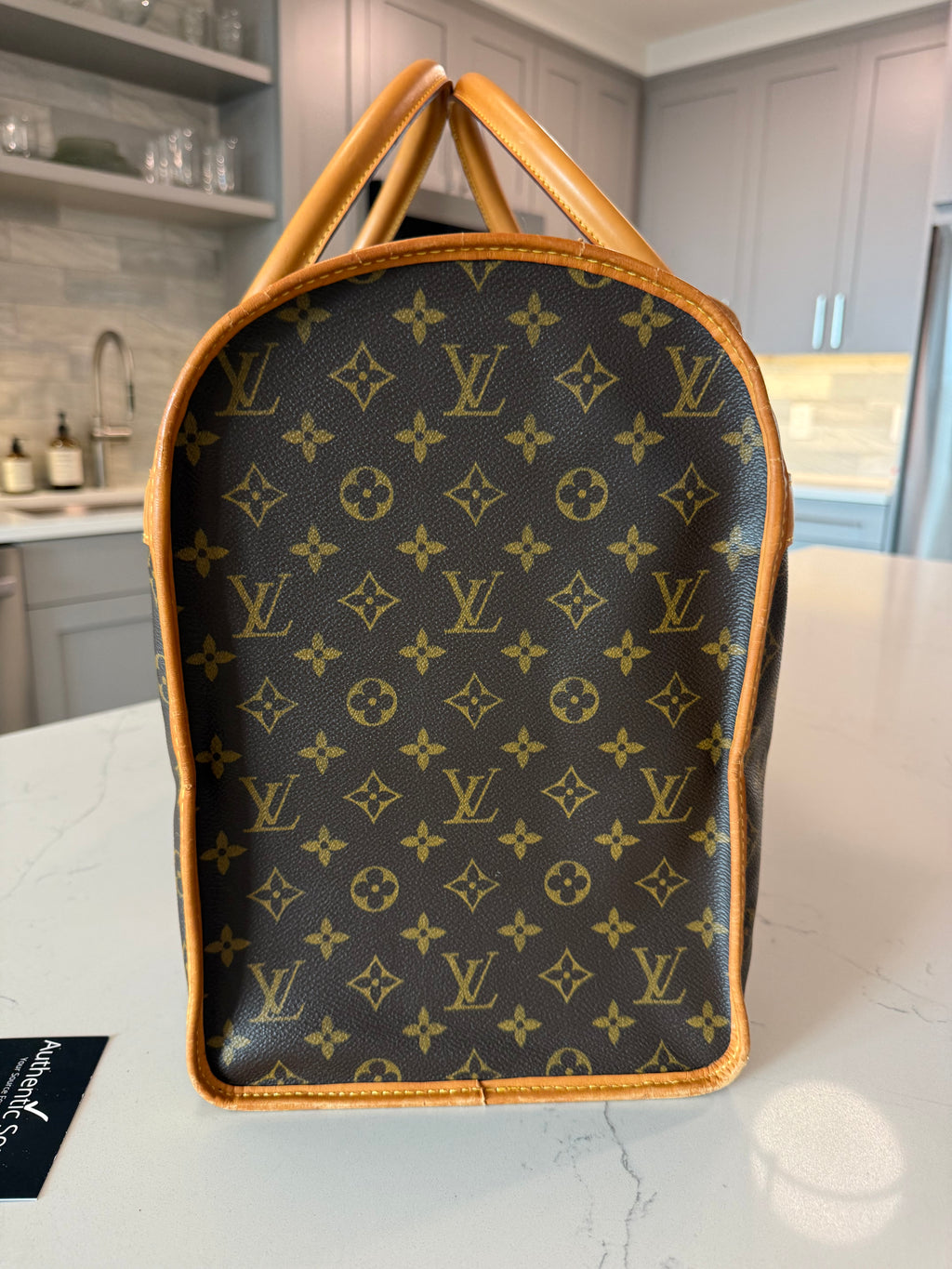 Louis Vuitton Pet Carrier Sac Chein 50